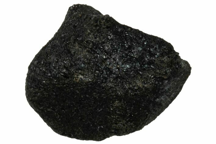 Ait Saoun EH/EH Chondrite Meteorite ( g) - Fresh Fall! #304190
